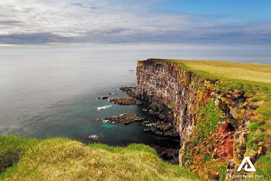 Latrabjarg Cliffs in westfjords