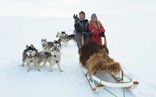 Dog Sledding Tours