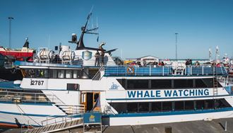 Special tours  white whale watching boat at harbor in Reykjavik.