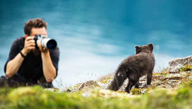 Nature & Wildlife Tour in Hornstrandir Reserve 