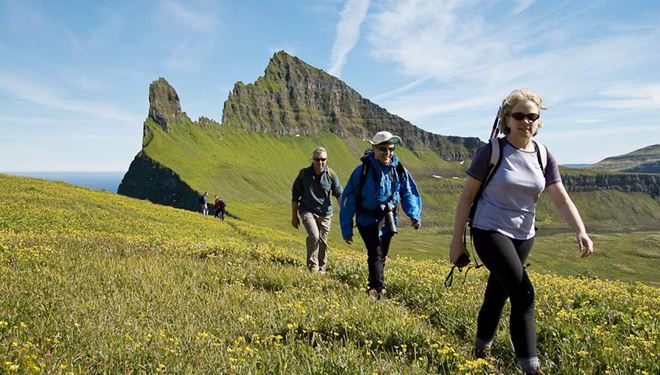 Hornstrandir Panorama Day-Hike