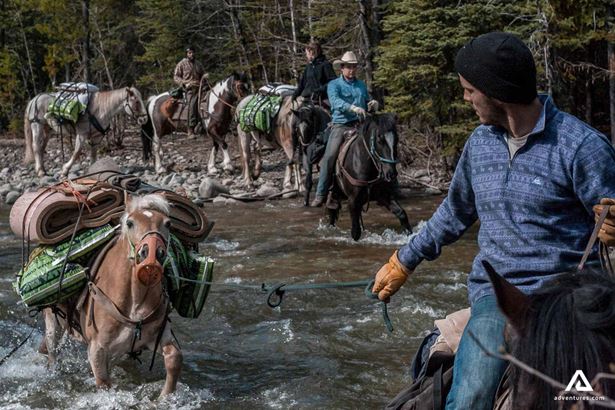 Horses crossing river