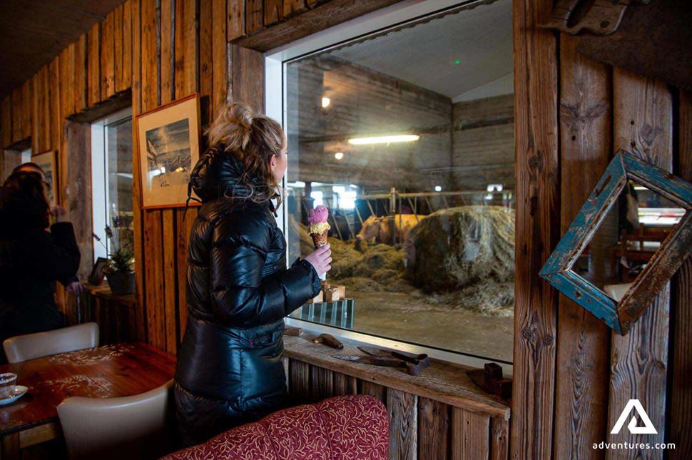 Efstidalur farm and guesthouse in iceland