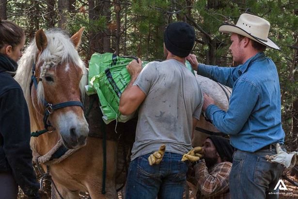 Prepare horses to ride