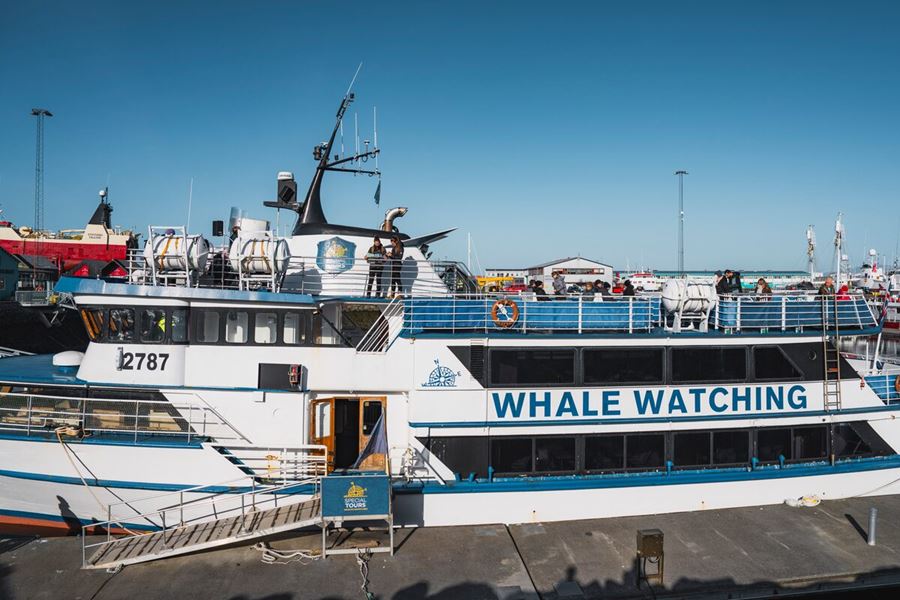 Special tours  white whale watching boat at harbor in Reykjavik.