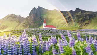 very colourful summer view of vikurkirkja in the south coast