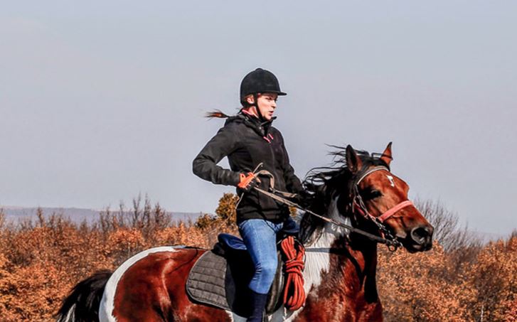 Horseback Riding Tours
