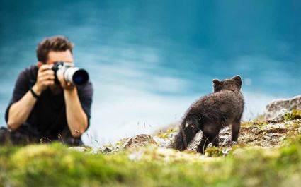 Nature & Wildlife Tour in Hornstrandir Reserve 