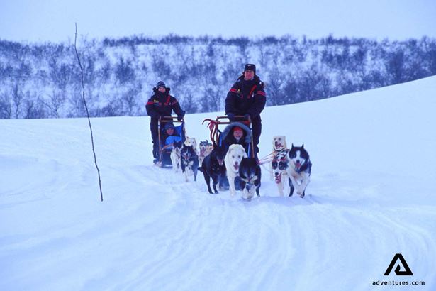 Happy people dog sledding in Norway
