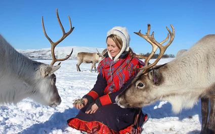 Long Reindeer Sledding, Feeding and Sami Culture