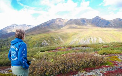 Summer van tours up the Dempster Highway to the Arctic Ocean