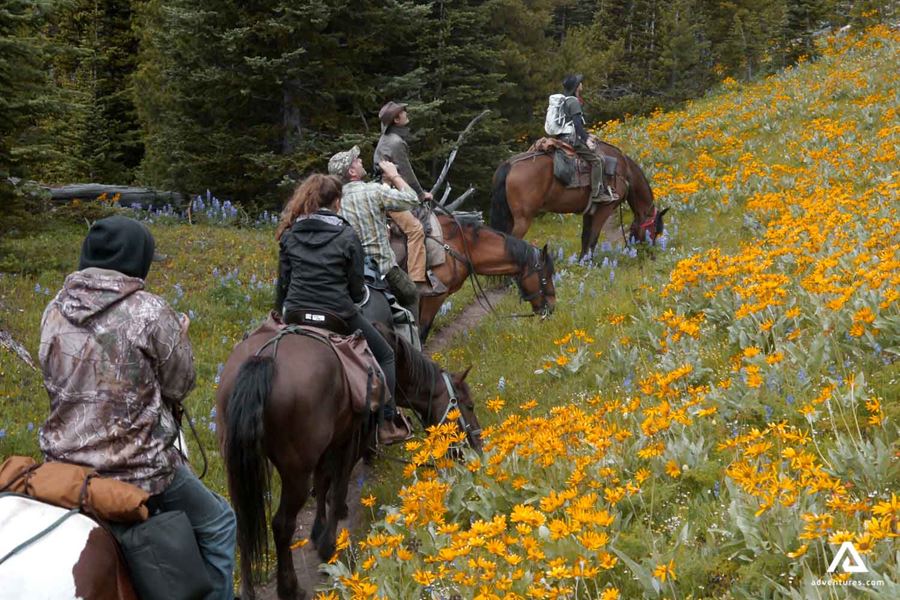 Horses at lunch during riding tour