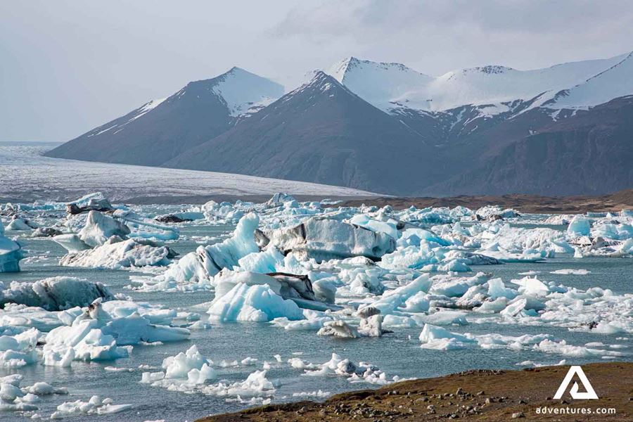 many icebergs in jokulsarlon