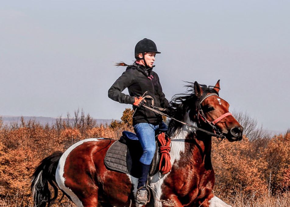 Horseback Riding Tours
