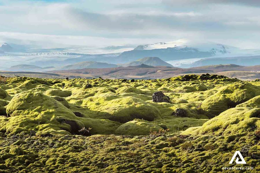 mossy lava field