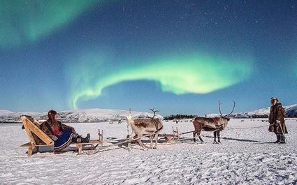 Night Reindeer Sledding with Dinner and Chance of Northern Lights