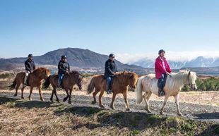 Horse Riding Tours