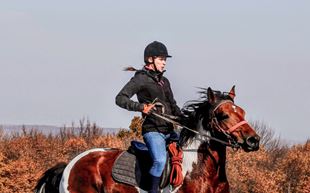 Horseback Riding Tours