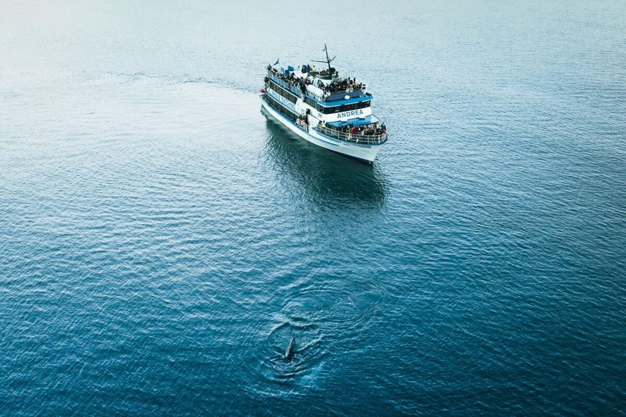 People On A Whale Watching Tour On A Boat Looking At A Whale in iceland