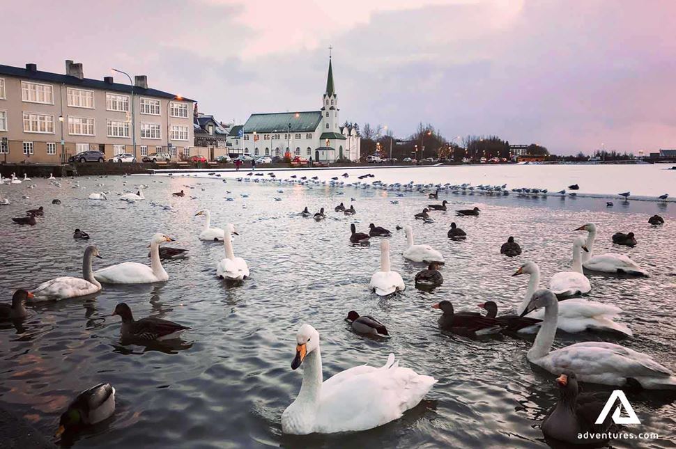 tjorning lake in reykjavik in winter