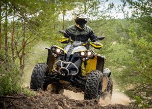 ATV Quad Biking Buggy Tours