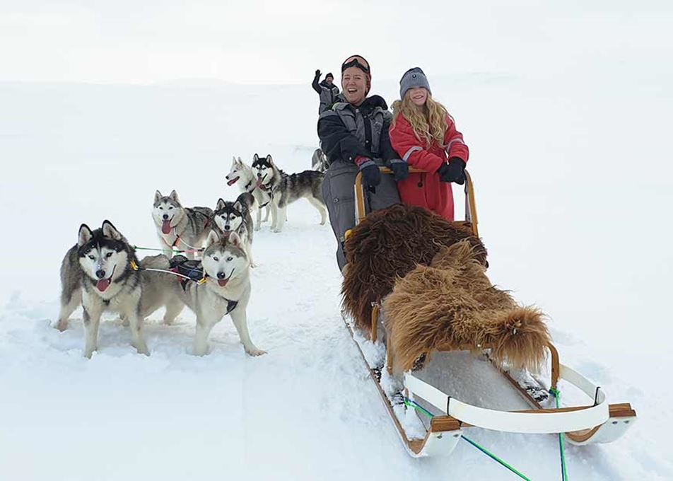 Circuits en traîneau à chiens à Islande