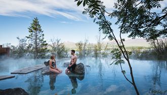 A Couple At Forest Lagoon in iceland