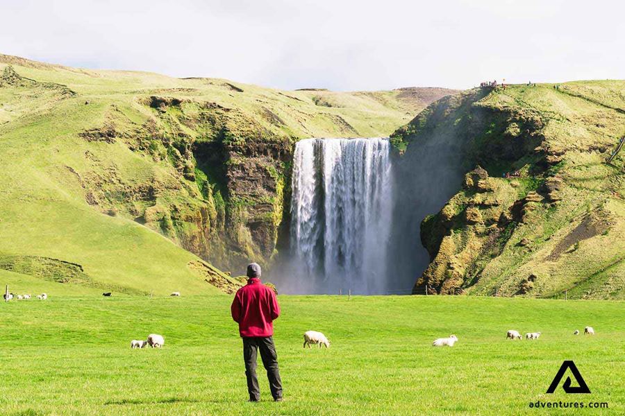 man standing near skogafoss waterfall