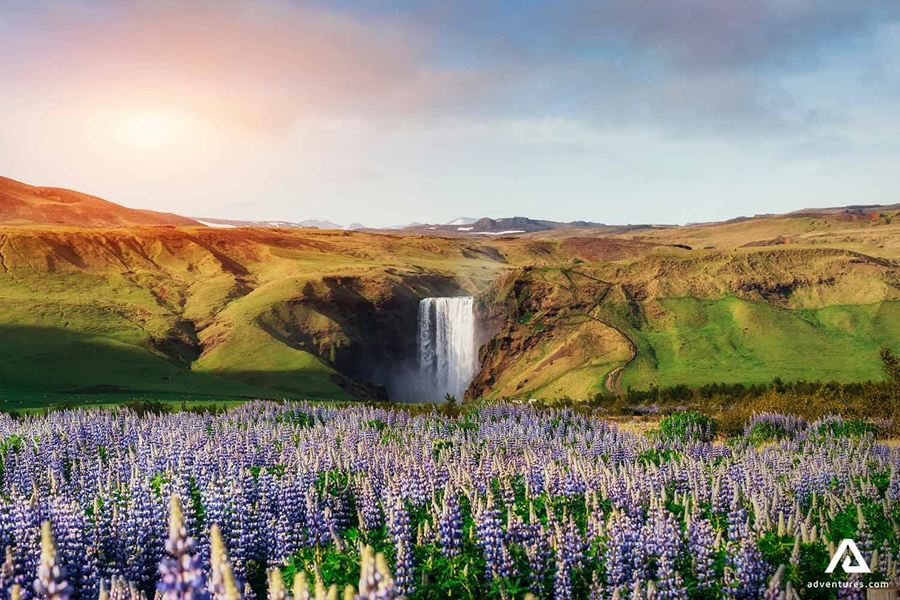 Skogafoss During Spring