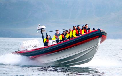 Whale Watching Rib Boat Tour